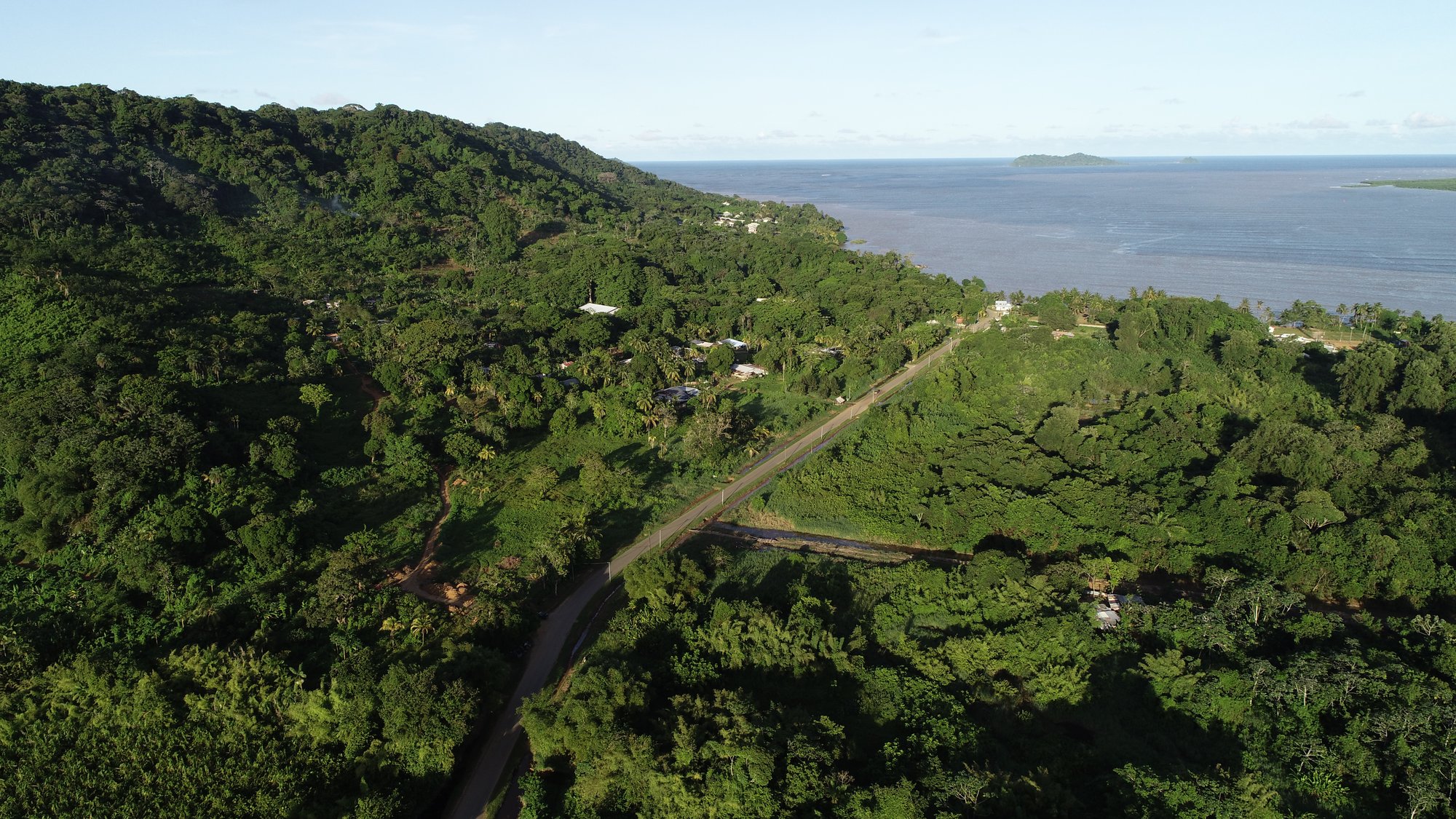 Vue aérienne : route bordée de végétation luxuriante, océan